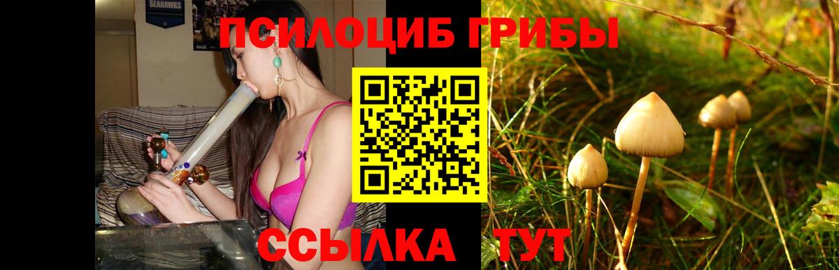 Галлюциногенные грибы Psilocybine cubensis  Вход с VPN  Галлюциногенные грибы мухоморы  Ревда 